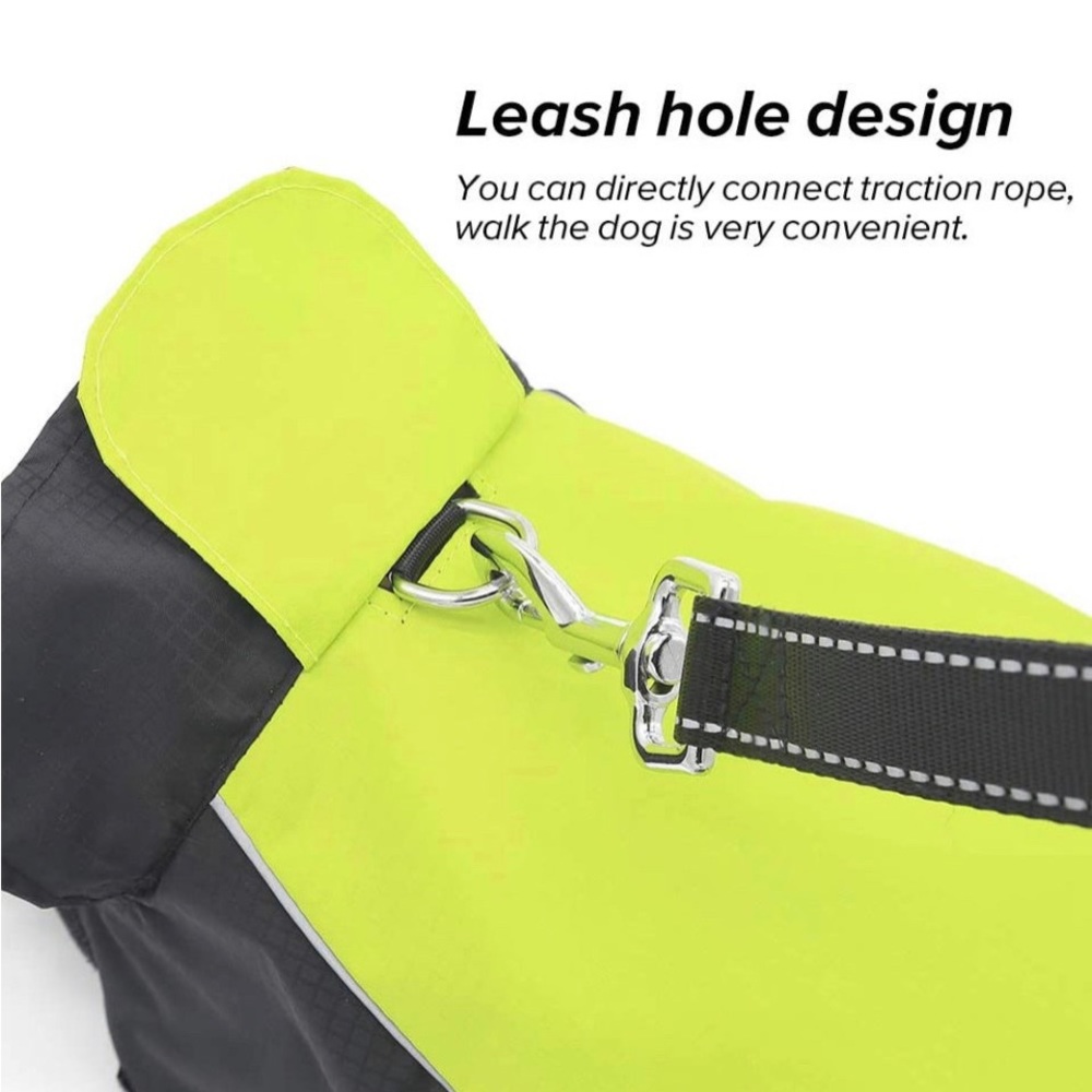 Small Dog Raincoat Lightweight Waterproof - S - Picture 5 of 8